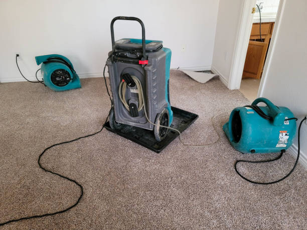 Best Ceiling water damage repair  in Joanna, SC