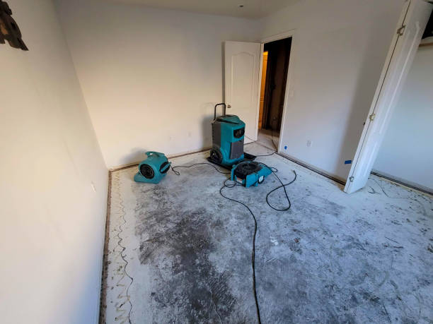 Best 24-hour water damage restoration  in Joanna, SC