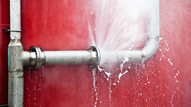 Best Basement water damage restoration  in Joanna, SC